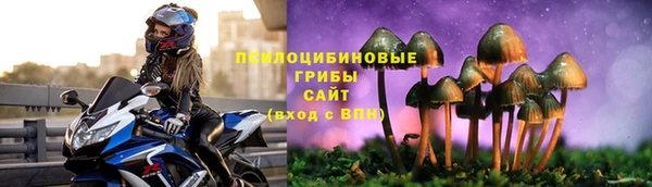 меф Арсеньев