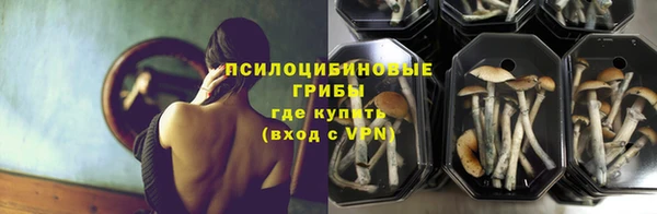 соль ск Алексеевка