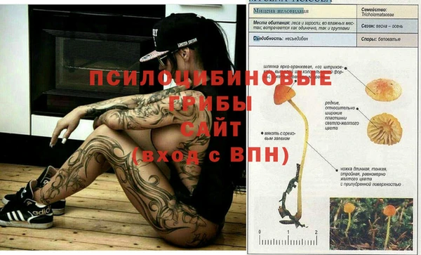 ECSTASY Алексин