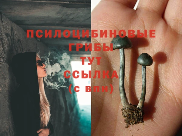 соль ск Алексеевка
