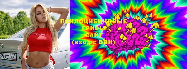 меф Арсеньев