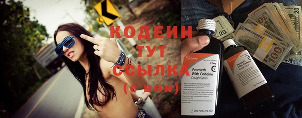 прущие грибы Алзамай