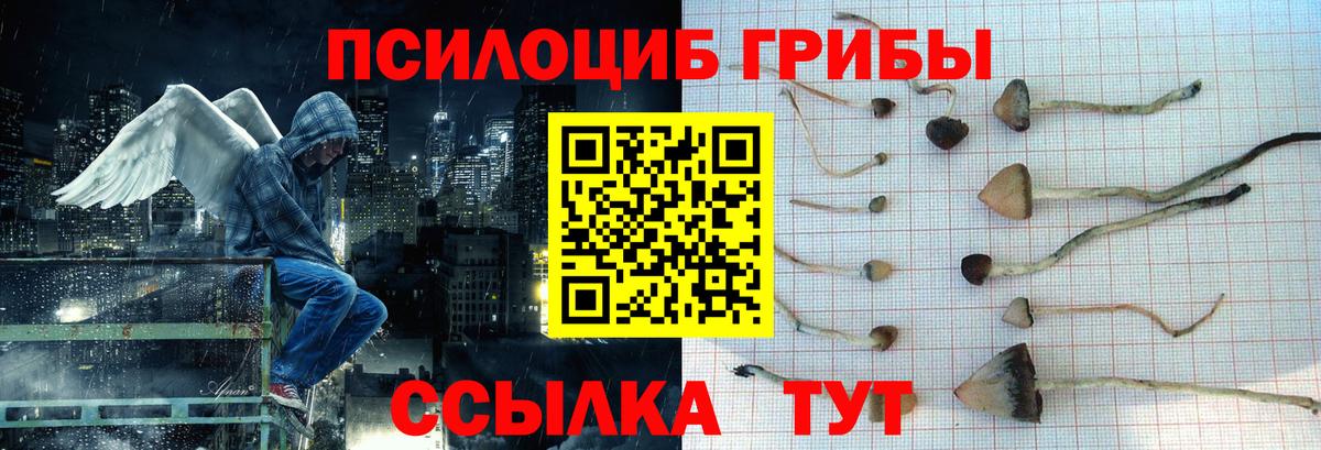 Псилоцибиновые грибы Magic Shrooms  Галлюциногенные грибы Psilocybe  Лобня  Вход с VPN 